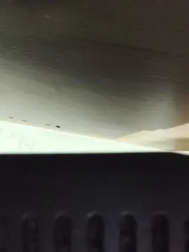 Cam4 Watch Live Sex Cams of Desejoprivadoa2