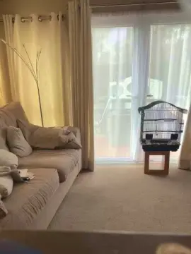 Cam4 Best live sex cam show of bw804888g2