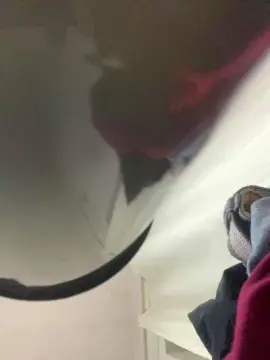 Cam4 Private Sex Chat of leon2391