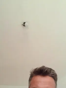 Cam4 Adult Webcams of danthepiero