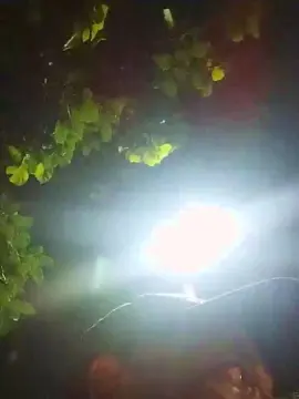 Cam4 Live Porn of comedor371