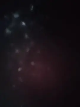 Cam4 Sex Chat of rex246