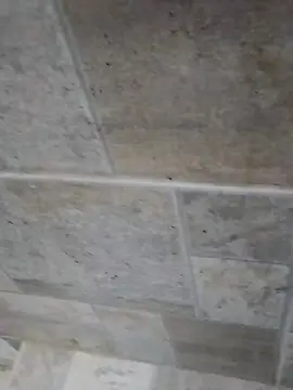 Cam4 Live Porn of ShowCamGo2