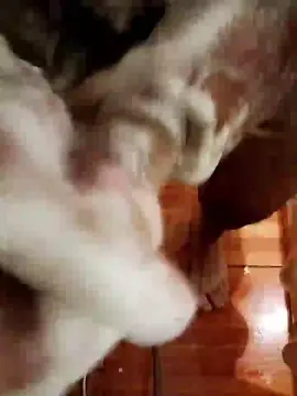 Cam4 Best live sex cam show of bandido23cm_hot