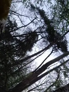 Cam4 Free Porn Cam of Jan_uncensored