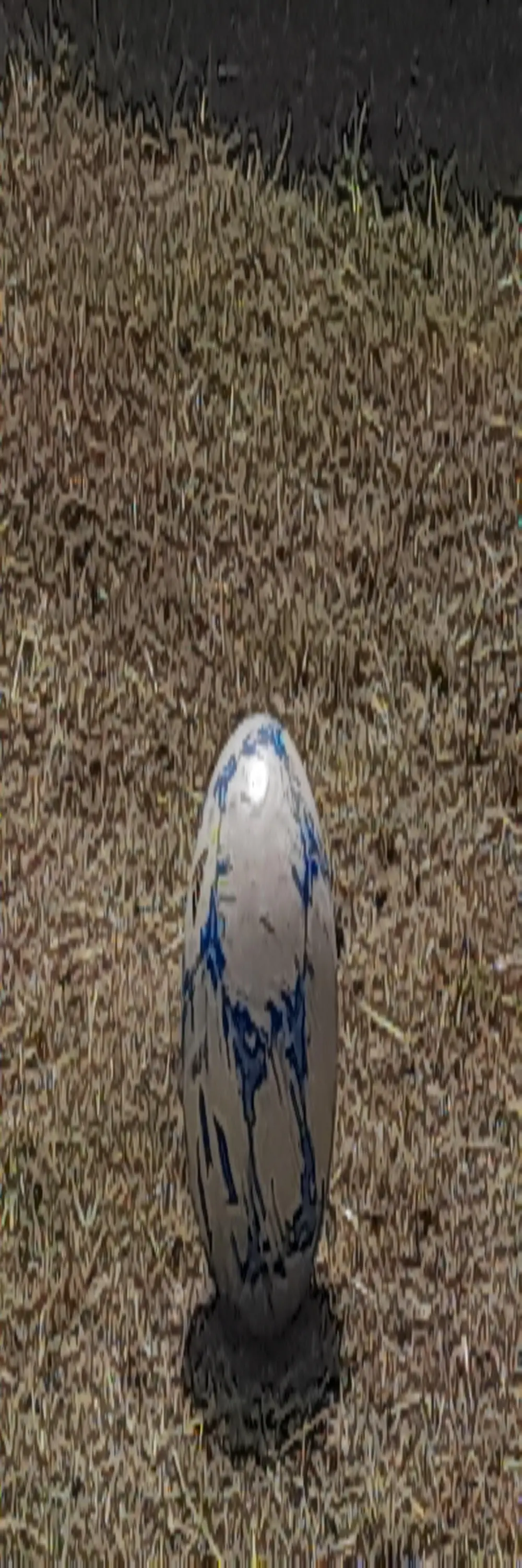tengounareverg1