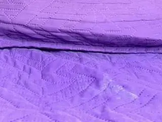 Camsoda Adult Webcam of ani-shaa