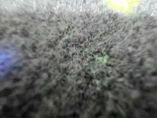 Camsoda Private Sex Chat of aisharouhi