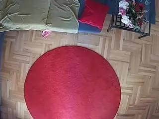 Camsoda Sex Cam of voyeurcam-julmodels-living-7