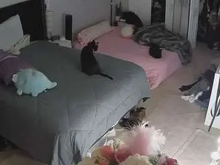 Camsoda Live Sex of voyeurcam-house-charleys-room