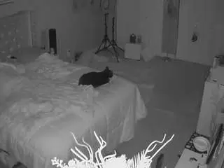 Camsoda Sex Cam of voyeurcam-house-charleys-room