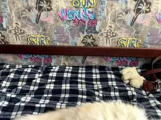 Camsoda Adult Webcam of tishatheaker