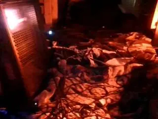 Camsoda Watch Live Sex Cams of secretsexpert