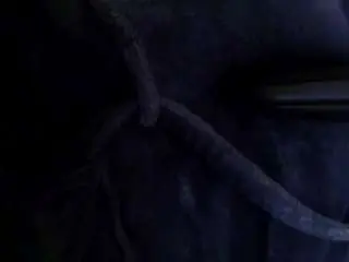 Camsoda Free Porn Cam of fucker1965