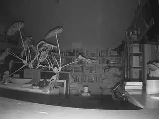 Camsoda Adult Webcams of voyeurcam-bridgetleewalters-02