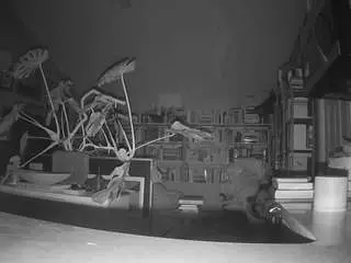 Camsoda Live Sex of voyeurcam-bridgetleewalters-02