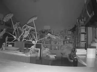 Camsoda Watch Live Sex Cams of voyeurcam-bridgetleewalters-02