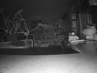 Camsoda Free Porn Cam of voyeurcam-bridgetleewalters-02