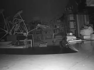 Camsoda Watch Live Sex Cams of voyeurcam-bridgetleewalters-02