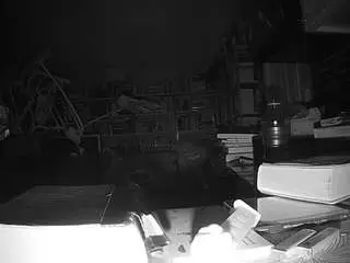 Camsoda Free Porn Cam of voyeurcam-bridgetleewalters-02