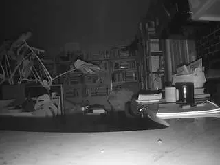 Camsoda Watch Live Sex Cams of voyeurcam-bridgetleewalters-02