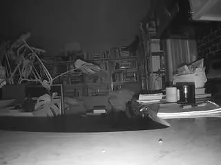 Camsoda Adult Video Chat of voyeurcam-bridgetleewalters-02