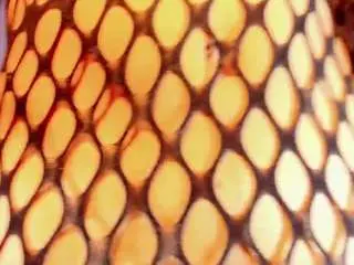 Camsoda Free Porn Cam of ivannahot-sexy