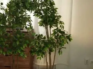 Camsoda Live Sex Cam of rowenagossett