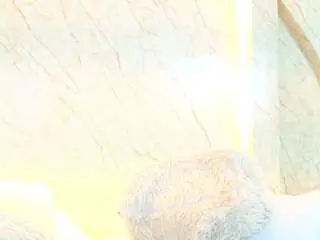 Camsoda Live Sex Cam of antonellarusso
