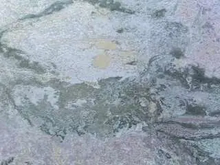 Camsoda Live Sex of neffertiryebonny