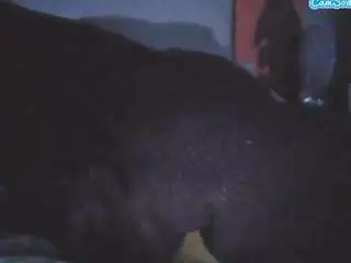 Camsoda Private Sex Chat of dayesweets