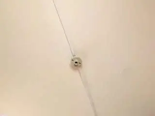 Camsoda Free Porn Cam of frreeya