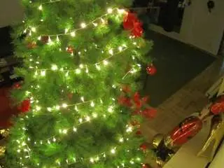 Camsoda Sex Cam of voyeurcam-julmodels-living-2