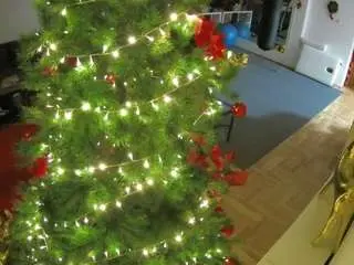 Camsoda Private Sex Chat of voyeurcam-julmodels-living-2