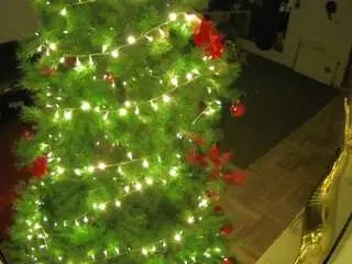 Camsoda Adult Webcam of voyeurcam-julmodels-living-2