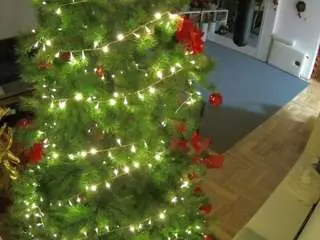 Camsoda Adult Webcams of voyeurcam-julmodels-living-2