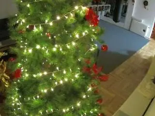 Camsoda Adult Video Chat of voyeurcam-julmodels-living-2