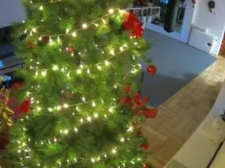 Camsoda Sex Cam of voyeurcam-julmodels-living-2