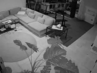 Camsoda Live Sex Cam of voyeurcam-julmodels-living-2