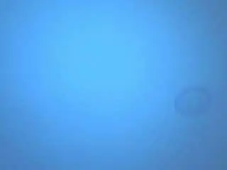 Camsoda Best Webcam of antonella-west