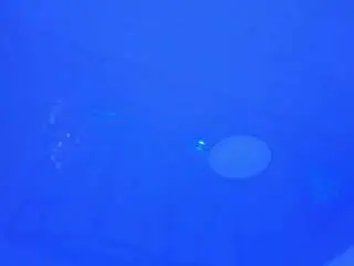 Camsoda Live Porn of hotteam-dl