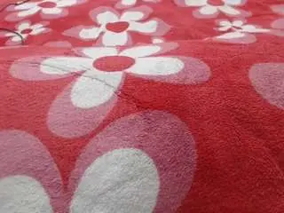 Camsoda Sex Cam of mollyandbrad