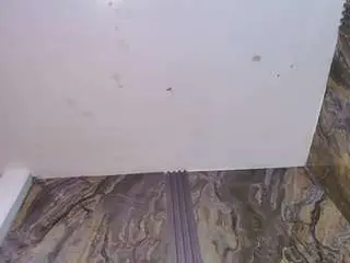 Camsoda Free Porn Cam of david-laidd