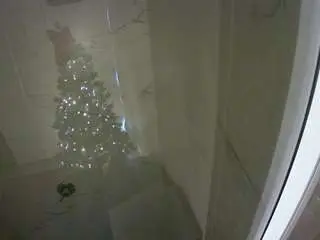 Camsoda Adult Webcam of voyeurcam-casa-salsa-bathroom-11