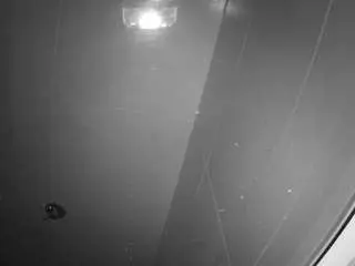 Camsoda Free Live Porn of voyeurcam-casa-salsa-bathroom-11