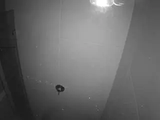Camsoda Watch Live Sex Cams of voyeurcam-casa-salsa-bathroom-11