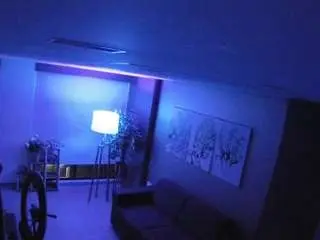 Camsoda Sex Chat of voyeurcam-casa-salsa-bedroom-9