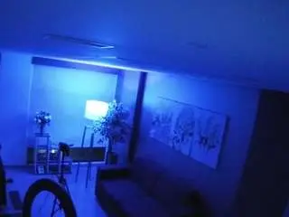 Camsoda Live Porn of voyeurcam-casa-salsa-bedroom-9