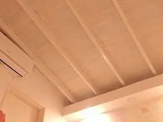 Camsoda Free Live Porn of aishathornee