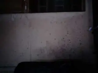 Camsoda Free Live Porn of sexygeny